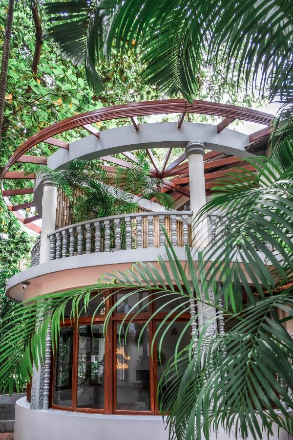 Hotel Jungle Addition