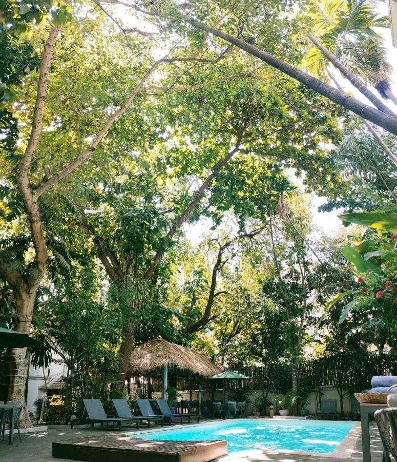 Jungle Addition Hotel