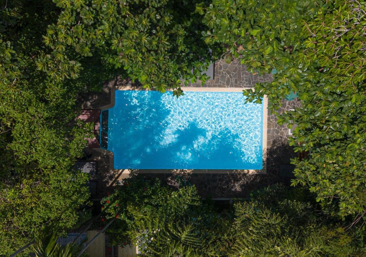 Jungle Addition Hotel Phnom-Penh